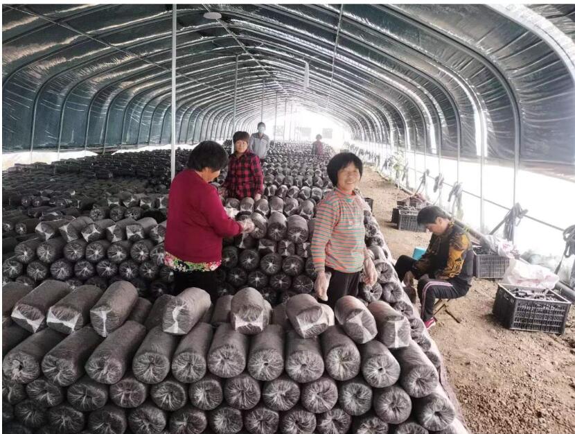 QQ؈D20231028233717.jpg